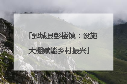 鄄城县彭楼镇：设施大棚赋能乡村振兴