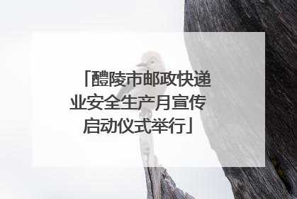 醴陵市邮政快递业安全生产月宣传启动仪式举行
