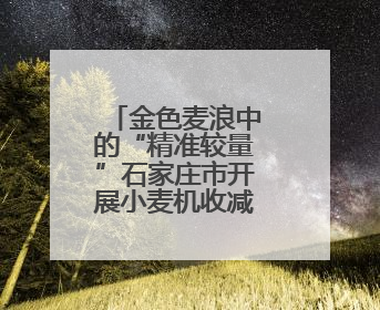 金色麦浪中的“精准较量”石家庄市开展小麦机收减损大比武