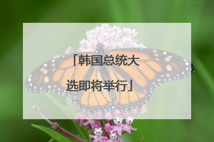 韩国总统大选即将举行