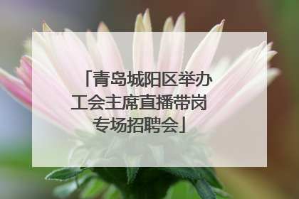 青岛城阳区举办工会主席直播带岗专场招聘会