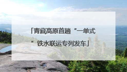 青藏高原首趟“一单式”铁水联运专列发车