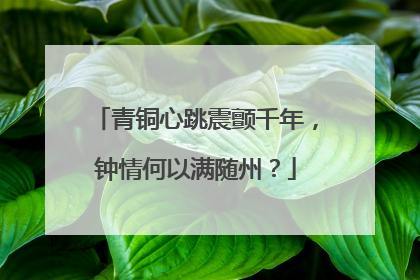 青铜心跳震颤千年，钟情何以满随州？