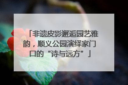 非遗皮影邂逅园艺雅韵，顺义公园演绎家门口的“诗与远方”