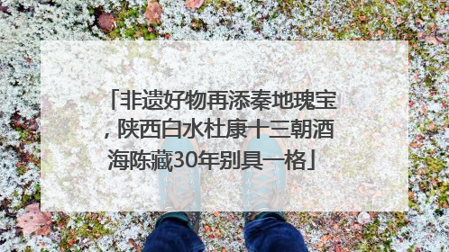非遗好物再添秦地瑰宝，陕西白水杜康十三朝酒海陈藏30年别具一格
