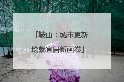鞍山：城市更新绘就宜居新画卷