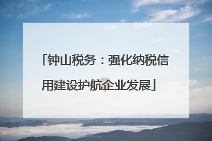 钟山税务：强化纳税信用建设护航企业发展