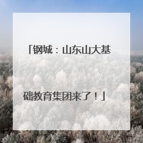 钢城：山东山大基础教育集团来了！
