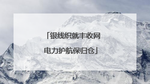 银线织就丰收网 电力护航保归仓