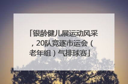 银龄健儿展运动风采，20队竞逐市运会（老年组）气排球赛