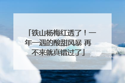 铁山杨梅红透了！一年一遇的酸甜风暴 再不来就真错过了
