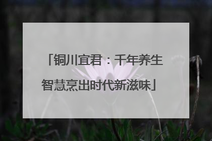 铜川宜君：千年养生智慧烹出时代新滋味