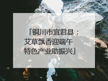 铜川市宜君县：艾草飘香迎端午 特色产业助振兴