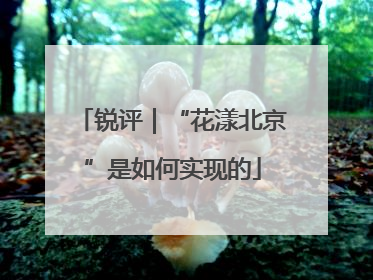 锐评｜“花漾北京”是如何实现的
