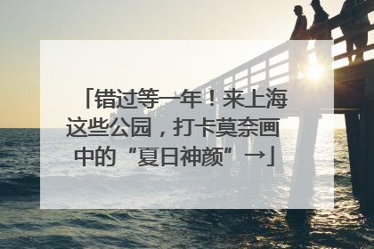 错过等一年！来上海这些公园，打卡莫奈画中的“夏日神颜”→