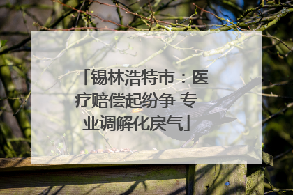 锡林浩特市：医疗赔偿起纷争 专业调解化戾气