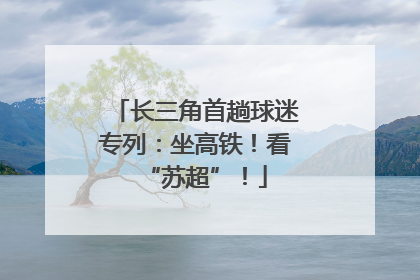 长三角首趟球迷专列：坐高铁！看“苏超”！