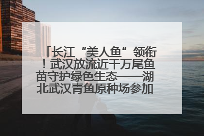 长江“美人鱼”领衔！武汉放流近千万尾鱼苗守护绿色生态——湖北武汉青鱼原种场参加2025年“全国放鱼日”增殖放流活动