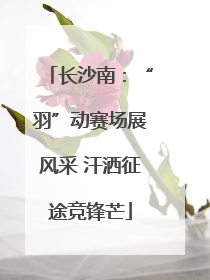 长沙南：“羽”动赛场展风采 汗洒征途竞锋芒