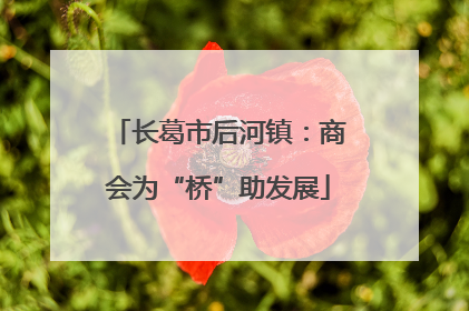 长葛市后河镇：商会为“桥”助发展
