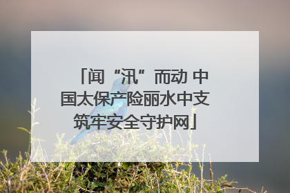 闻“汛”而动 中国太保产险丽水中支筑牢安全守护网