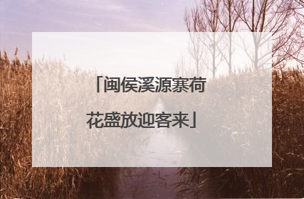 闽侯溪源寨荷花盛放迎客来