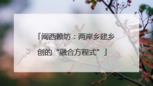 闽西赖坊：两岸乡建乡创的“融合方程式”