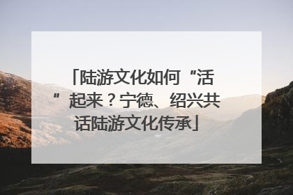 陆游文化如何“活 ”起来？宁德、绍兴共话陆游文化传承