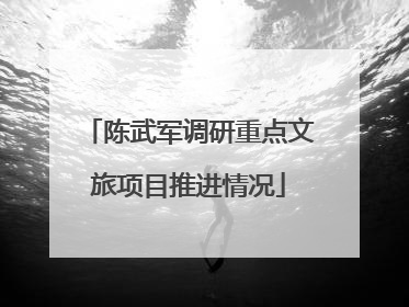 陈武军调研重点文旅项目推进情况