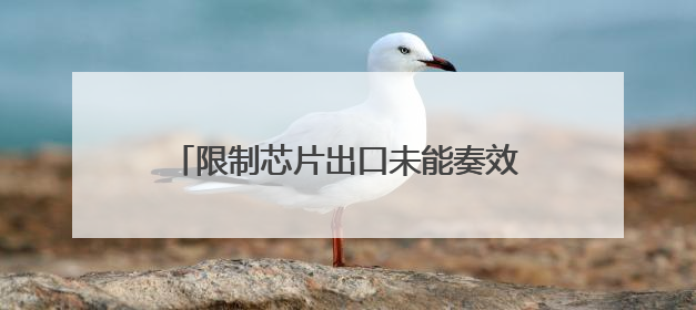 限制芯片出口未能奏效，白宫AI主管：中国模型仅落后美国不到半年