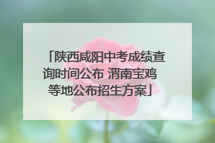 陕西咸阳中考成绩查询时间公布 渭南宝鸡等地公布招生方案