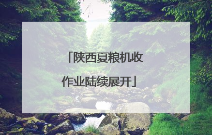 陕西夏粮机收作业陆续展开