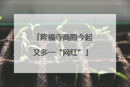 隆福寺商圈今起又多一“网红”