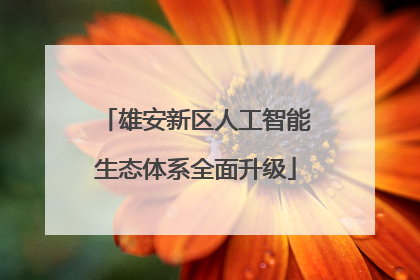 雄安新区人工智能生态体系全面升级