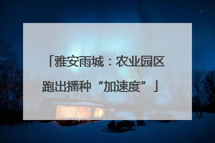 雅安雨城：农业园区跑出播种“加速度”
