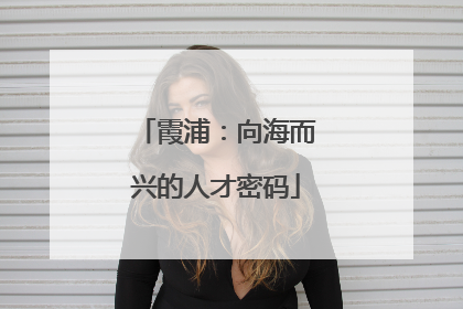 霞浦：向海而兴的人才密码