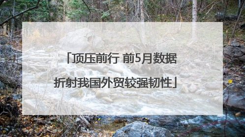 顶压前行 前5月数据折射我国外贸较强韧性