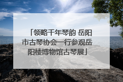领略千年琴韵 岳阳市古琴协会一行参观岳阳楼博物馆古琴展