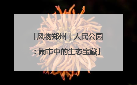 风物郑州｜人民公园：闹市中的生态宝藏