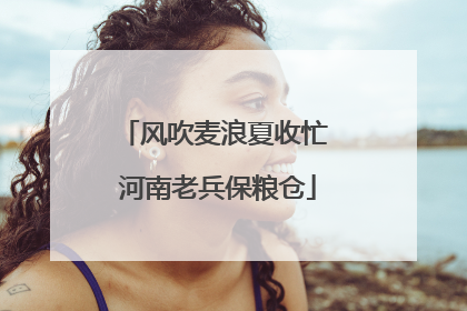 风吹麦浪夏收忙 河南老兵保粮仓