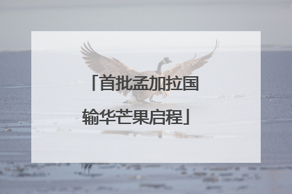 首批孟加拉国输华芒果启程