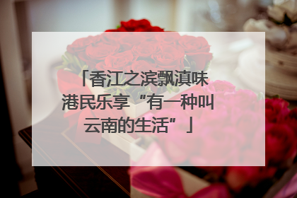 香江之滨飘滇味 港民乐享“有一种叫云南的生活”