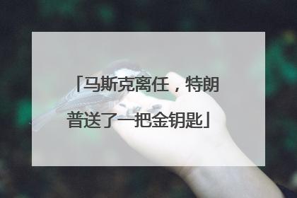 马斯克离任，特朗普送了一把金钥匙