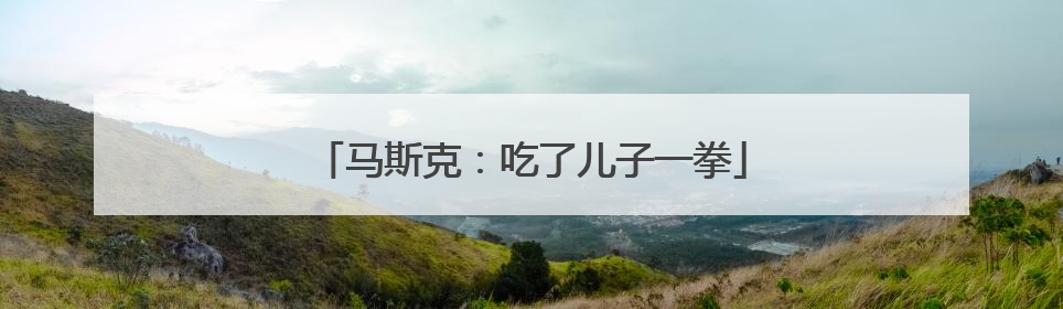 马斯克：吃了儿子一拳