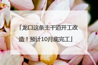 龙口这条主干道开工改造！预计10月底完工