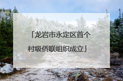 龙岩市永定区首个村级侨联组织成立