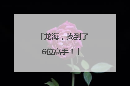 龙海，找到了6位高手！