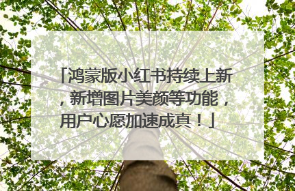 鸿蒙版小红书持续上新，新增图片美颜等功能，用户心愿加速成真！