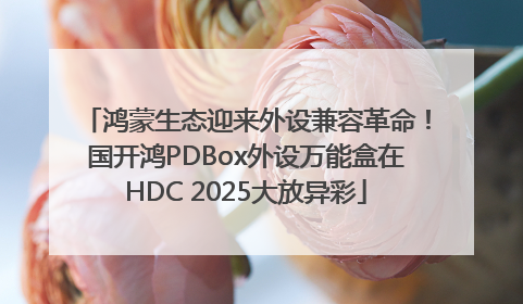 鸿蒙生态迎来外设兼容革命！国开鸿PDBox外设万能盒在HDC 2025大放异彩