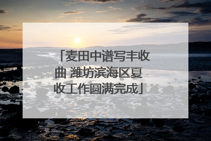 麦田中谱写丰收曲 潍坊滨海区夏收工作圆满完成